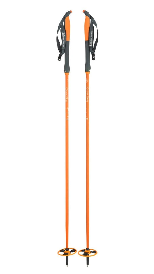 New ⌛ Poles Asnes Cecilie BC Pole ✔️ 3 Poles Asnes Cecilie BC Pole