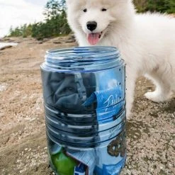 Outlet β¨ Kitchen BearVault BV500 π 11 Kitchen BearVault BV500