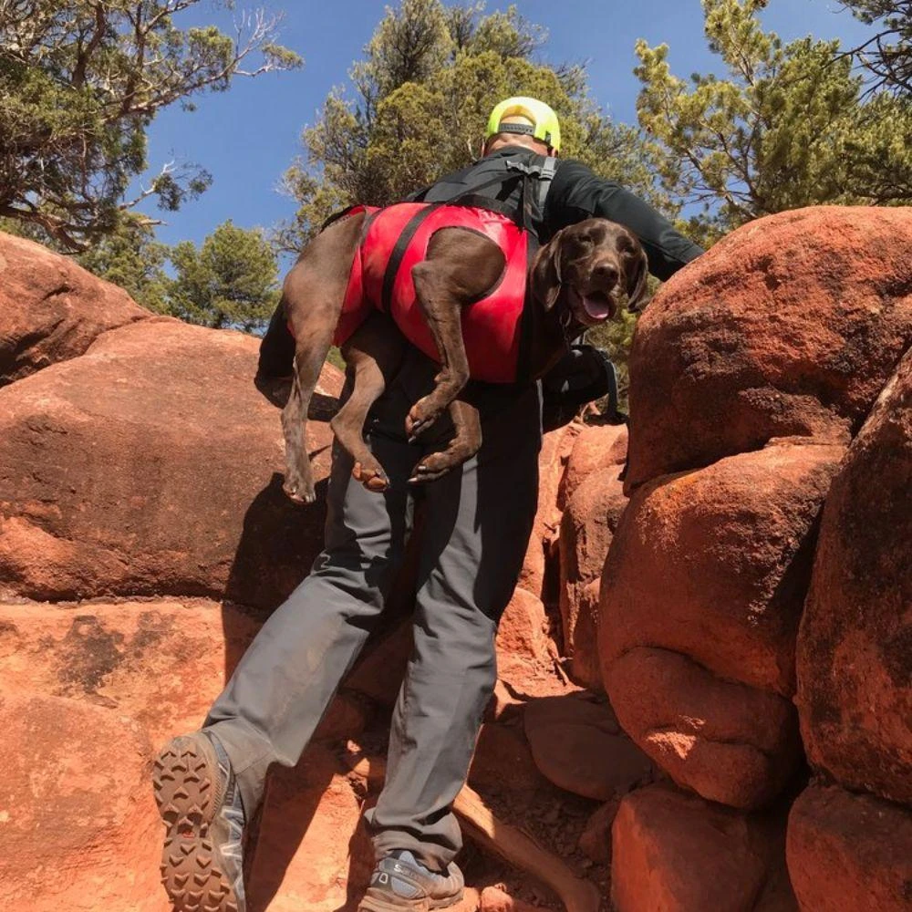 Best deal 🎁 Fido Pro Airlift Pets ⭐ 4 Fido Pro Airlift Pets