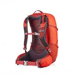 Gregory Citro 30 Backpacks & Duffels