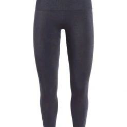Icebreaker Women's Motion Seamless Tights