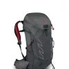 Backpacks & Duffels Osprey Talon Pro 30 Mens Pack