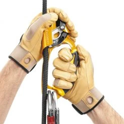 Petzl Ascension Ascender Hardware