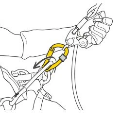 Petzl Rollclip Z Carabiner / Pulley Hardware