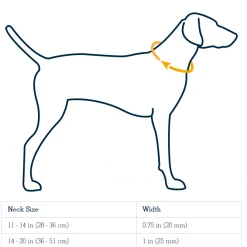 Best reviews of ✨ Ruffwear Crag ✔️ Dog Collar Pets ✔️ 9 Ruffwear Crag Dog Collar Pets