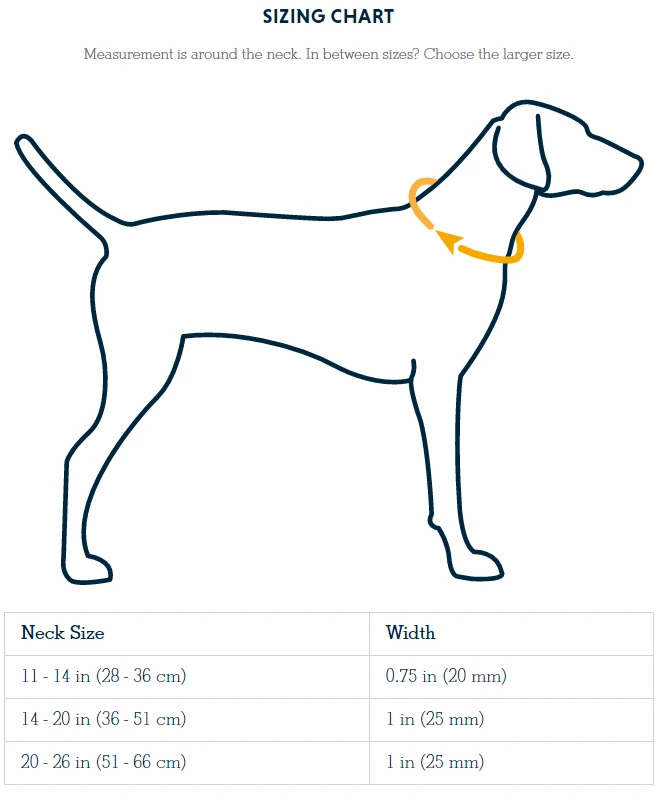 Best reviews of ✨ Ruffwear Crag ✔️ Dog Collar Pets ✔️ 6 Ruffwear Crag Dog Collar Pets