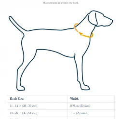 Ruffwear Hoopie Dog Collar Pets
