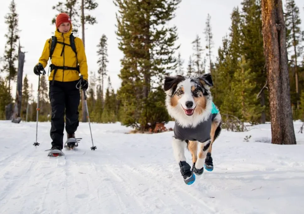 Best deal 🛒 Ruffwear Polar Trex Winter Dog Boots Pets ⌛ 5 Ruffwear Polar Trex Winter Dog Boots Pets