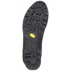 Coupon ⌛ Salewa Rapace GTX Men's Footwear 😀 9 Salewa Rapace GTX Men's Footwear