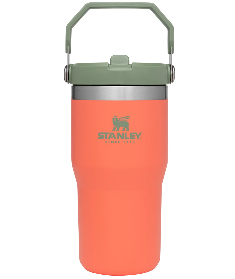 Hot Sale 🤩 Stanley Iceflow Flip Straw Tumbler ✨ 4 Stanley Iceflow Flip Straw Tumbler