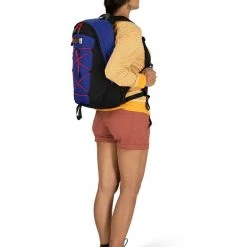 Backpacks & Duffels Osprey Heritage Simplex 16 Pack