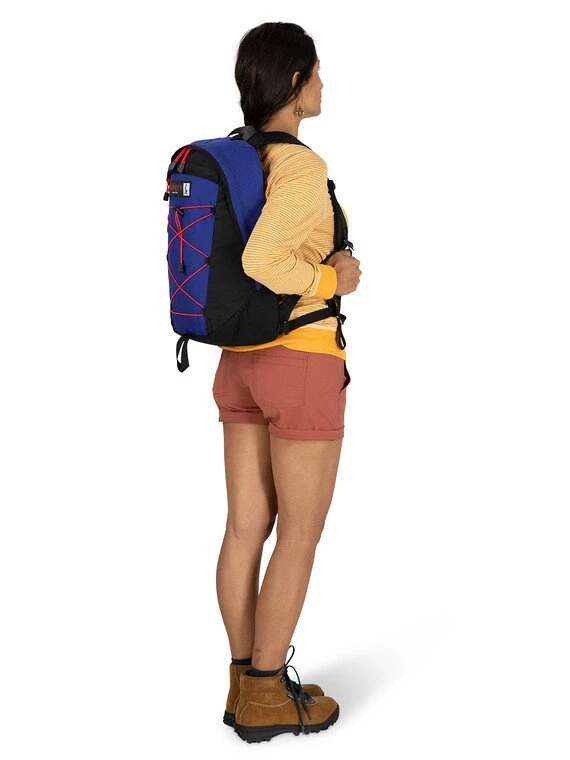 Backpacks & Duffels Osprey Heritage Simplex 16 Pack
