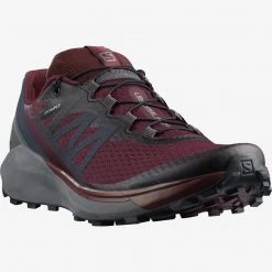 Budget 🛒 Footwear Salomon Women's Sense Ride 4 ⭐ 20 Footwear Salomon Women's Sense Ride 4